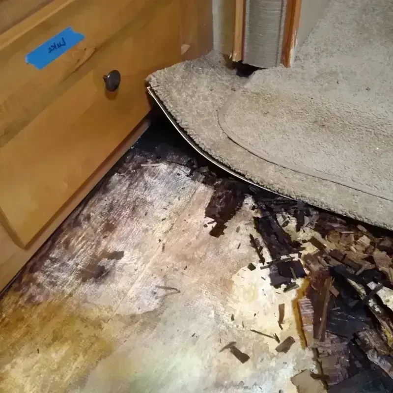 Wood Floor Water Damage in Farr West, UT